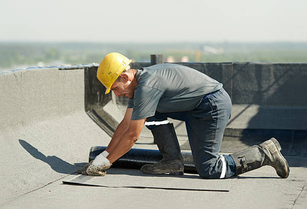 Best Insulation Installation Services in Morton, WA
